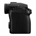 Беззеркальный фотоаппарат Panasonic Lumix S5 IIX